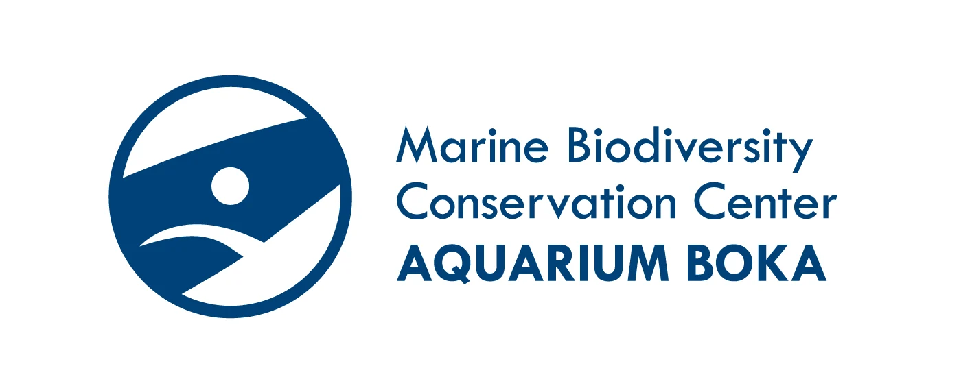 MonteAqua project extended