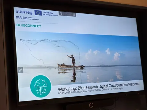 Project presentation the BLUECONNECT Project team meeting, Kotor, Montenegro (November 2025)