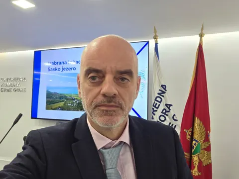 Radoje Laušević at AZA4ICE Workshop (December 2025)